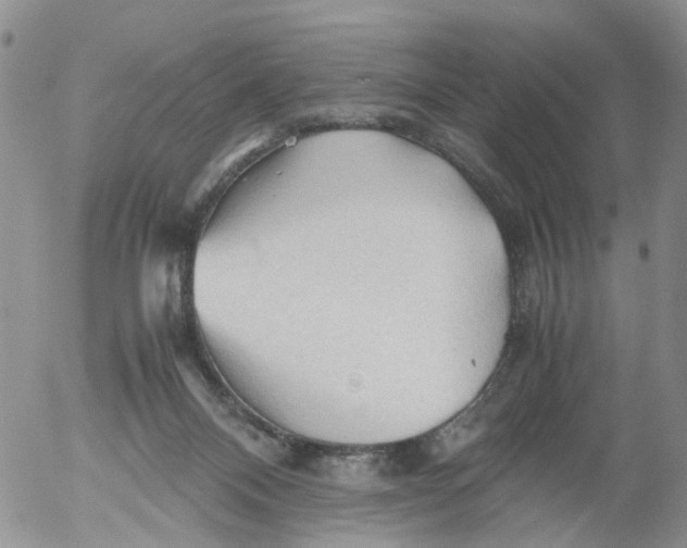 X0000053090120200508012043