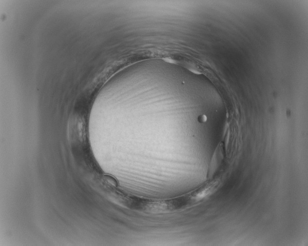 X0000053090123200508012042