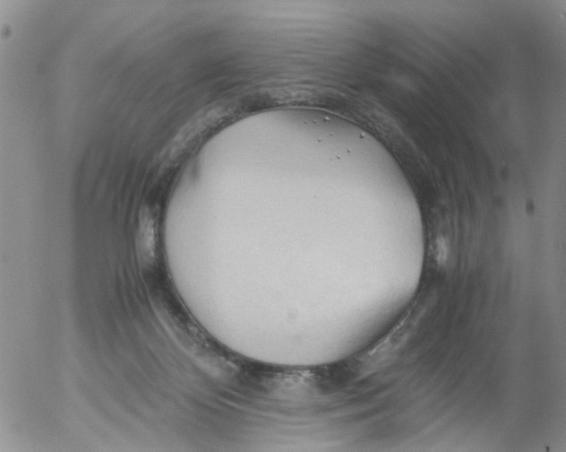 X0000053090124200508012042