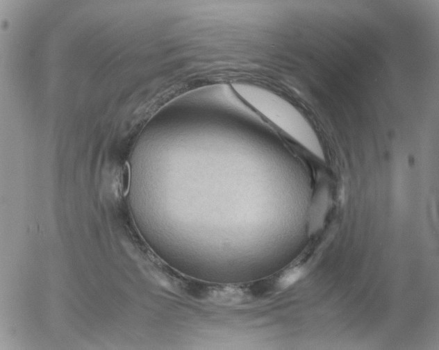 X0000053090125200508012042