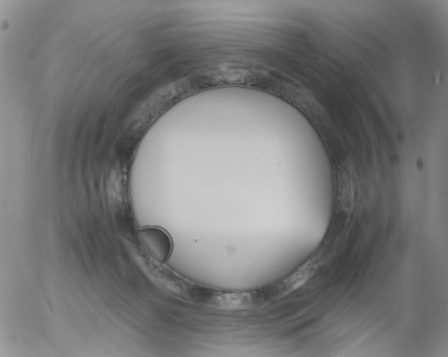 X0000053090126200508012042