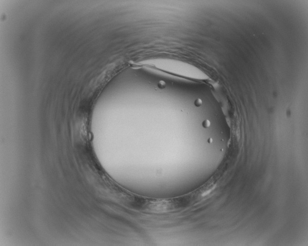 X0000053090127200508012042