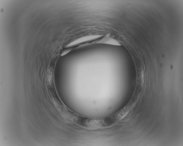 X0000053090129200508012042