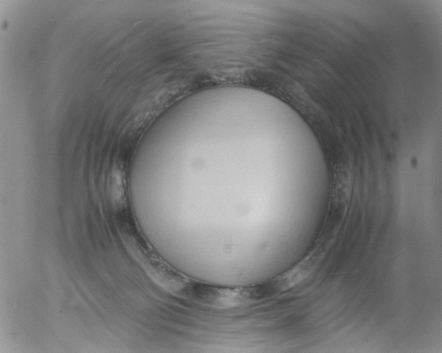 X0000053090130200508012042