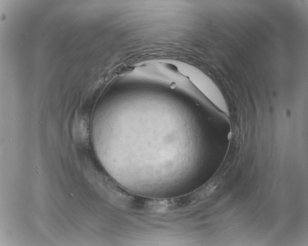 X0000053090131200508012042