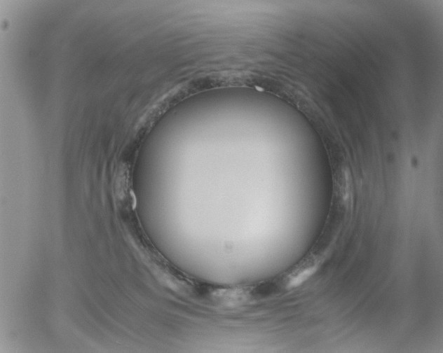 X0000053090133200508012042