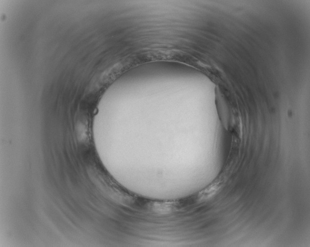 X0000053090134200508012042