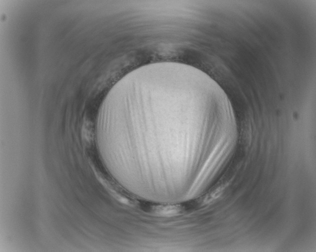 X0000053090135200508012042