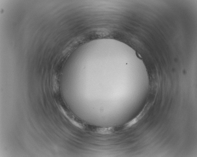 X0000053090136200508012042