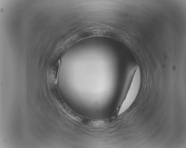 X0000053090137200508012042