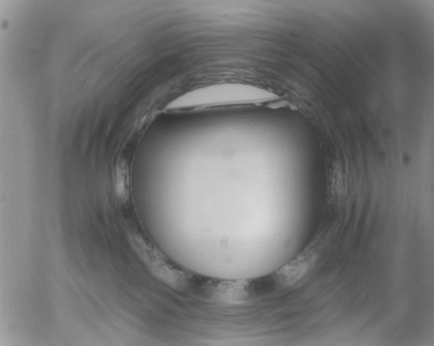 X0000053090138200508012042