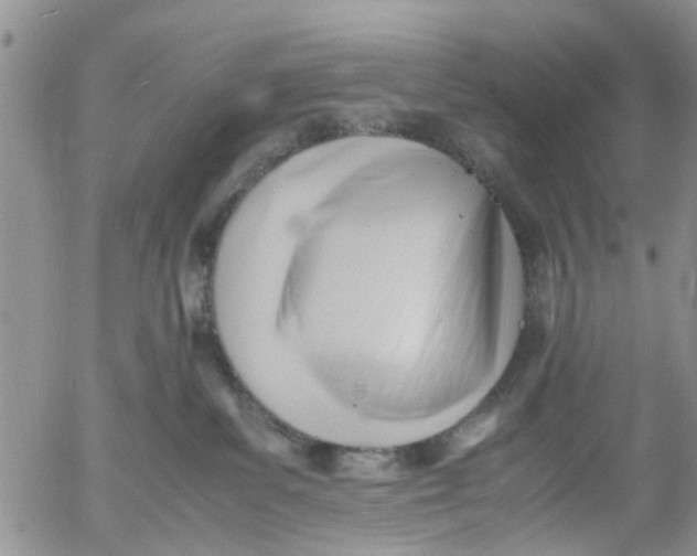 X0000053090139200508012042