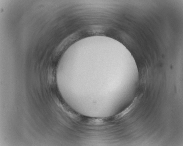 X0000053090140200508012042