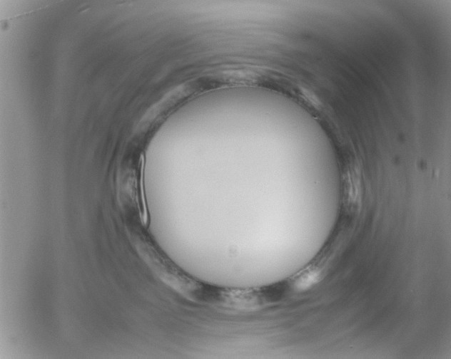 X0000053090141200508012042