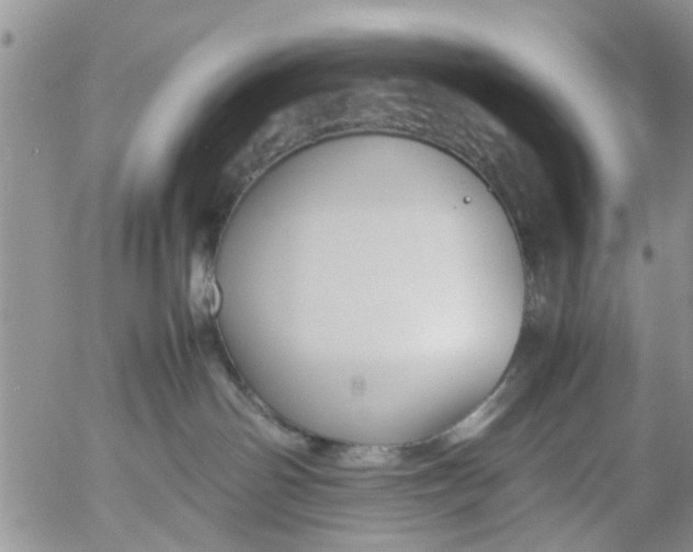 X0000053090142200508012042