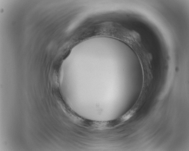 X0000053090143200508012042