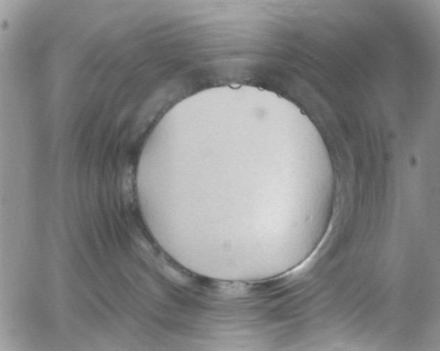 X0000053090144200508012042