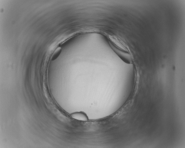 X0000053090145200508012041