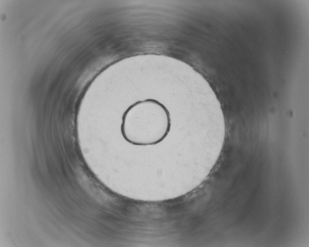 X0000053090146200508012041