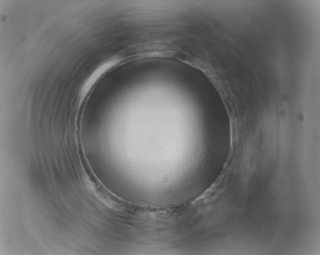 X0000053090147200508012041