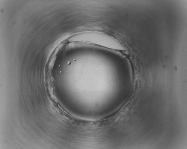 X0000053090148200508012041