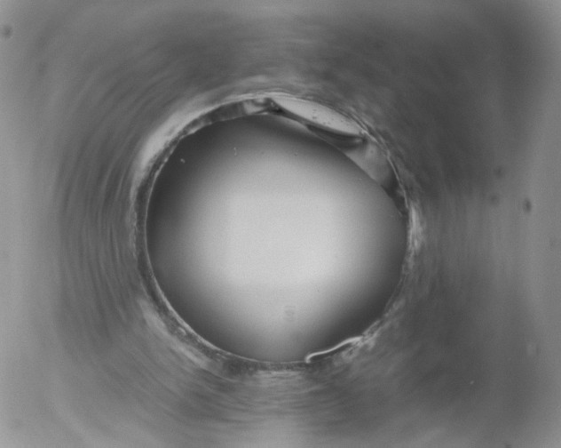 X0000053090150200508012041