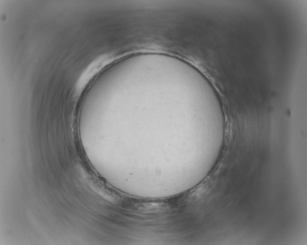 X0000053090151200508012041