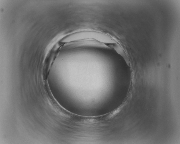 X0000053090152200508012041