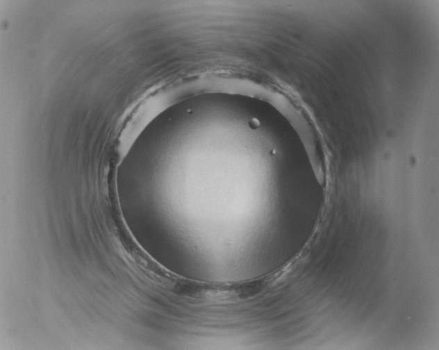 X0000053090154200508012041