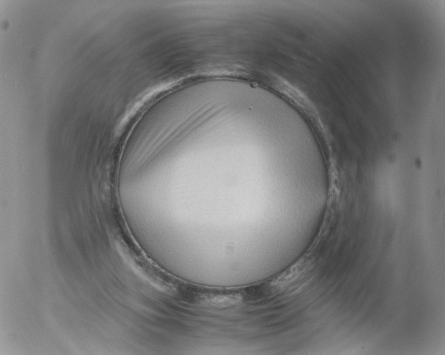 X0000053090155200508012041