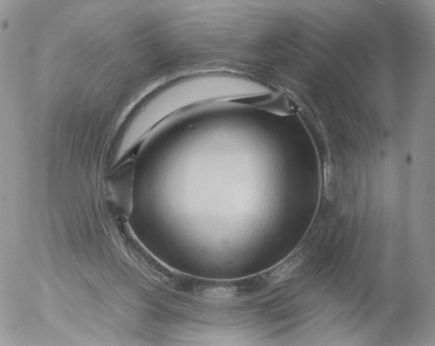 X0000053090156200508012041