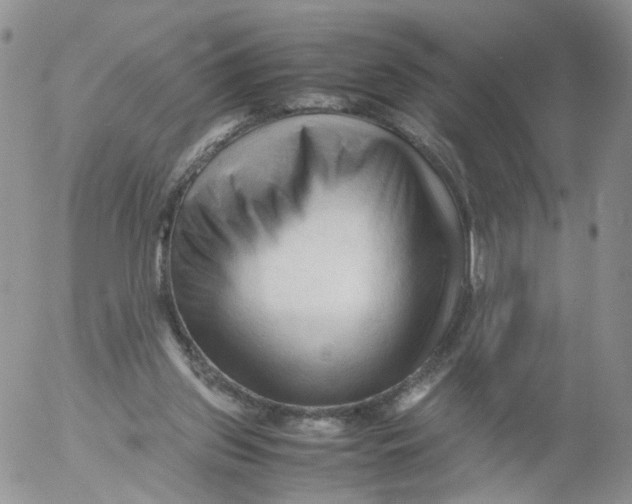 X0000053090157200508012041