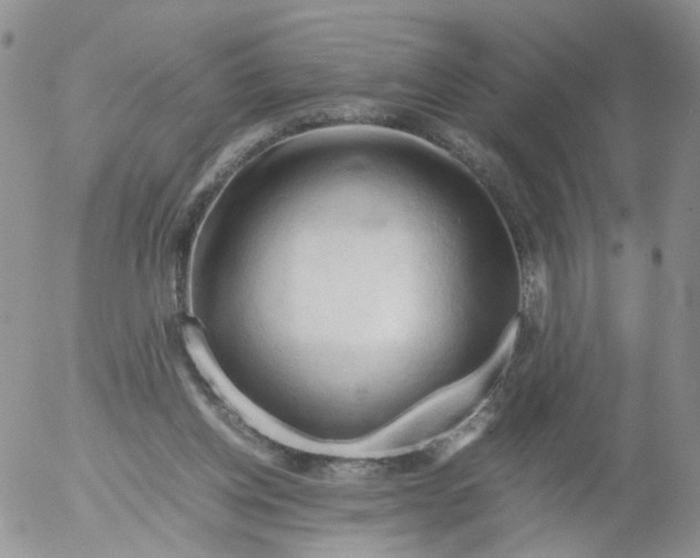 X0000053090158200508012042