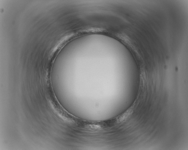 X0000053090159200508012042