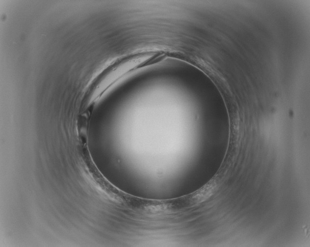 X0000053090160200508012042