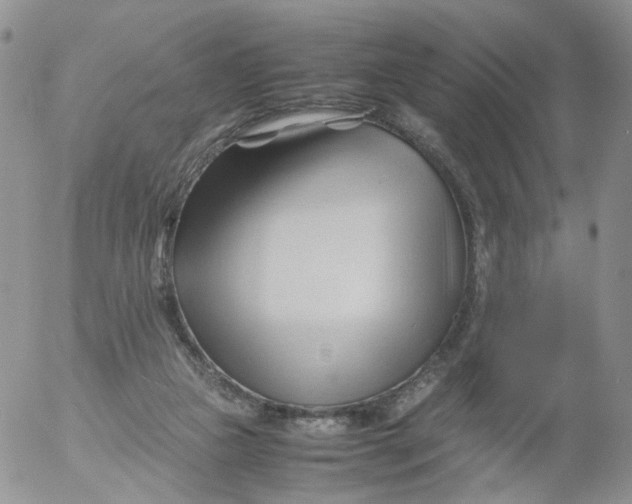 X0000053090161200508012042