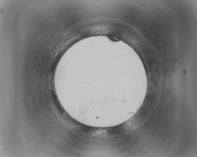 X0000053090162200508012042