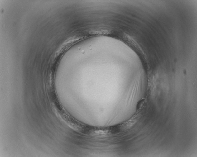 X0000053090163200508012042