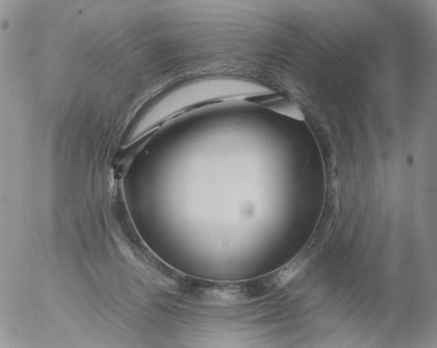 X0000053090164200508012042