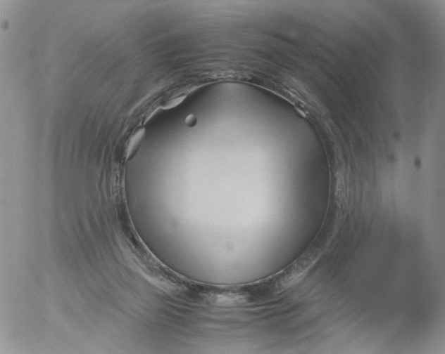 X0000053090165200508012042