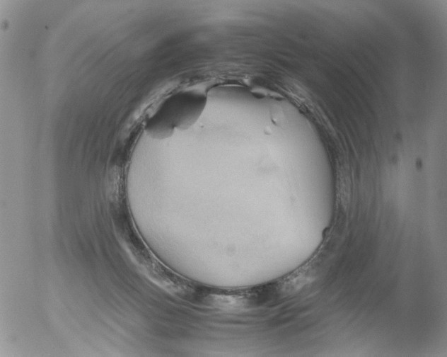 X0000053090167200508012042