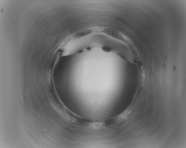 X0000053090168200508012042