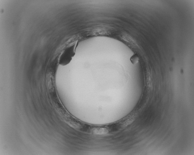 X0000053090169200508012042