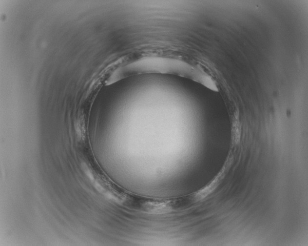 X0000053090170200508012042