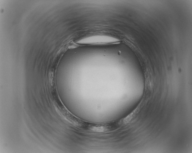 X0000053090171200508012042