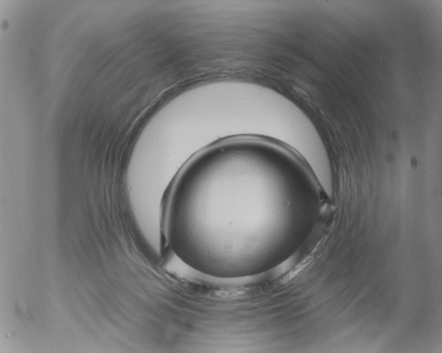 X0000053090172200508012042