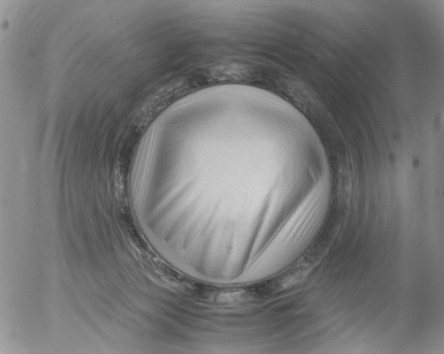 X0000053090173200508012042