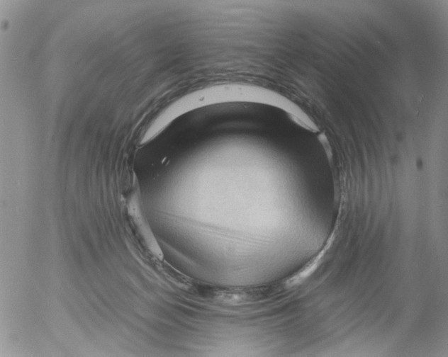 X0000053090174200508012042