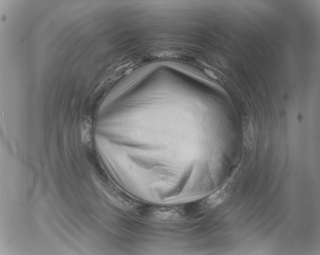 X0000053090175200508012042