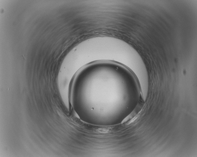 X0000053090176200508012042